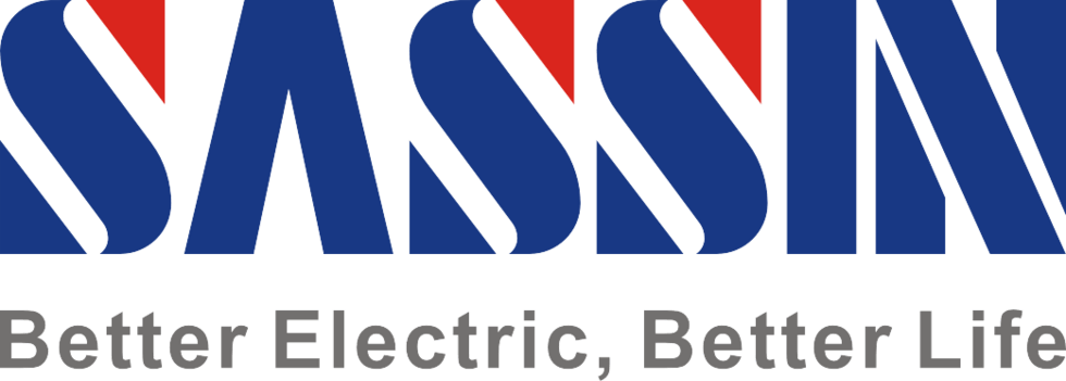 Sassin logo