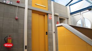 Canales distribución Unex